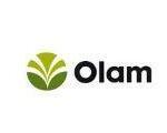 Olam2 - image from GhanaCareers