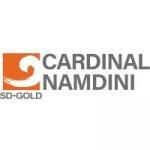 cardinal namdini mining logo - image from GhanaCareers